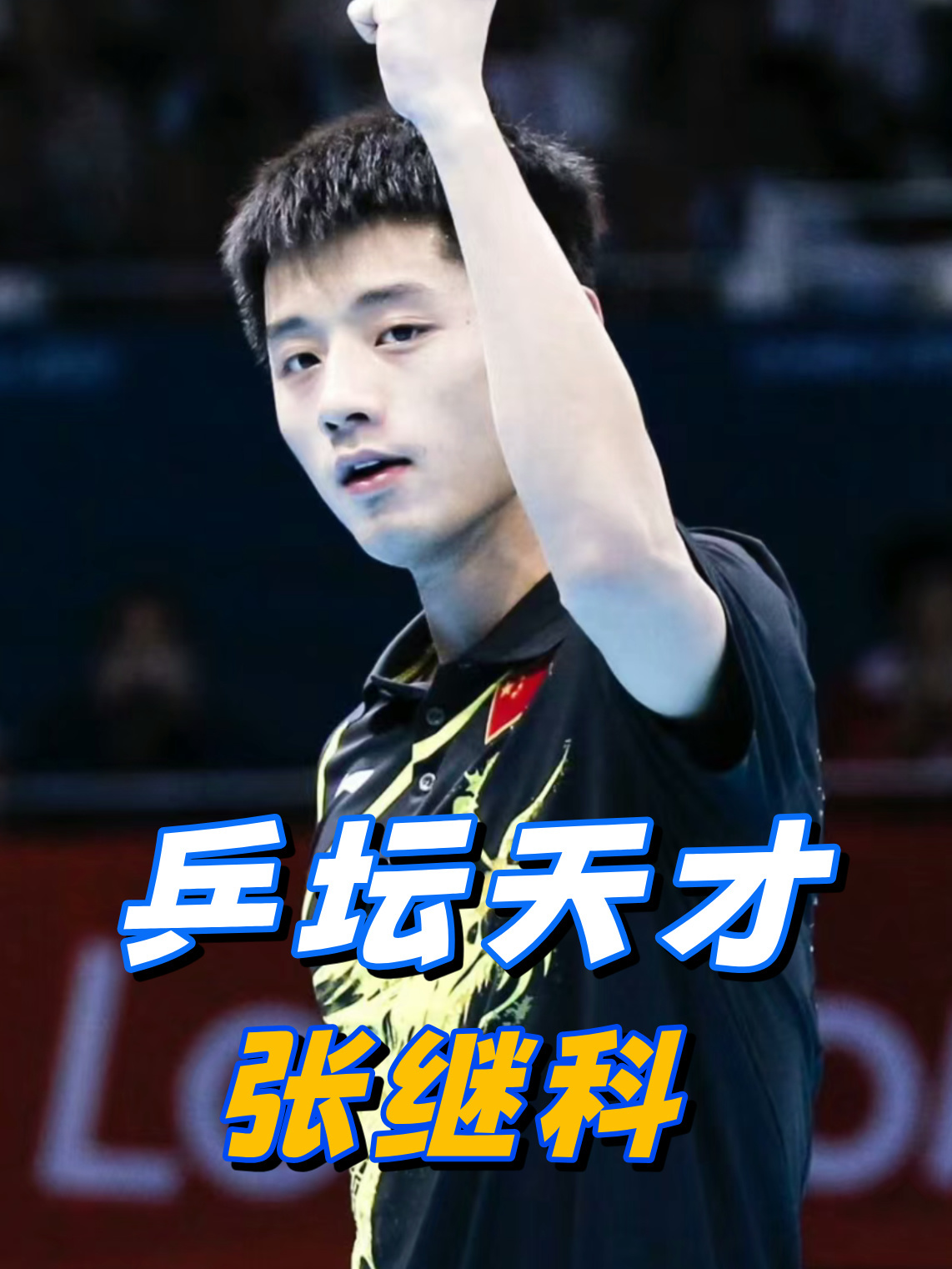 关于法国乒乓球队逆转中国乒乓球队，张继科高光表现的信息