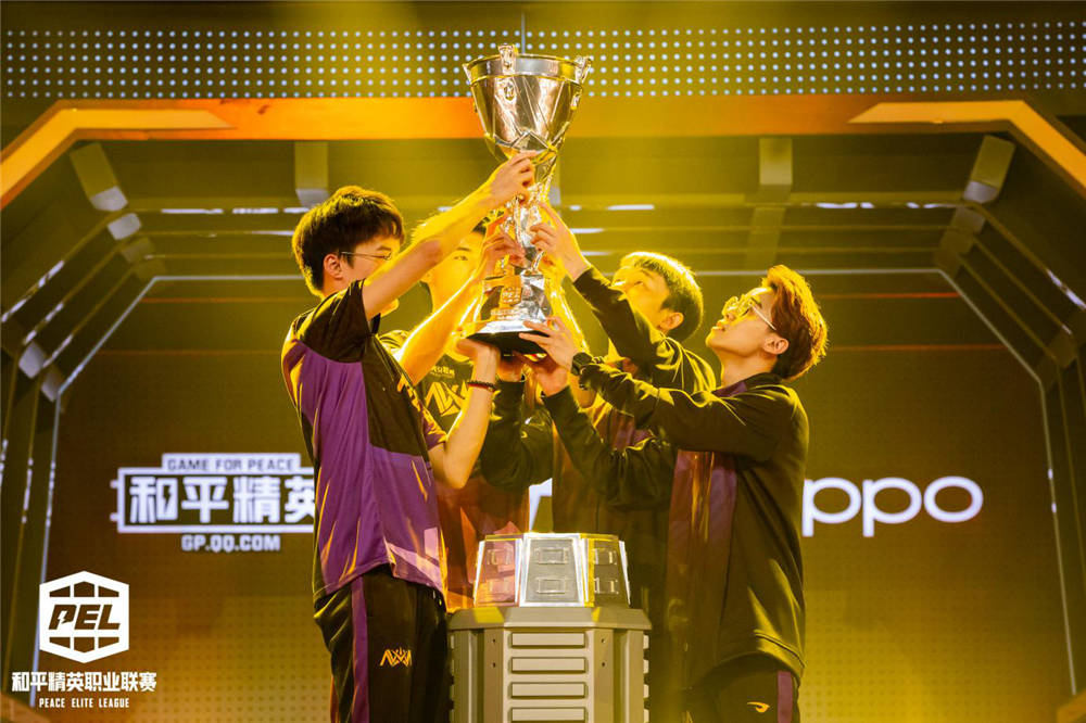 最新战报：和平精英豪取连胜，冠军在望的简单介绍