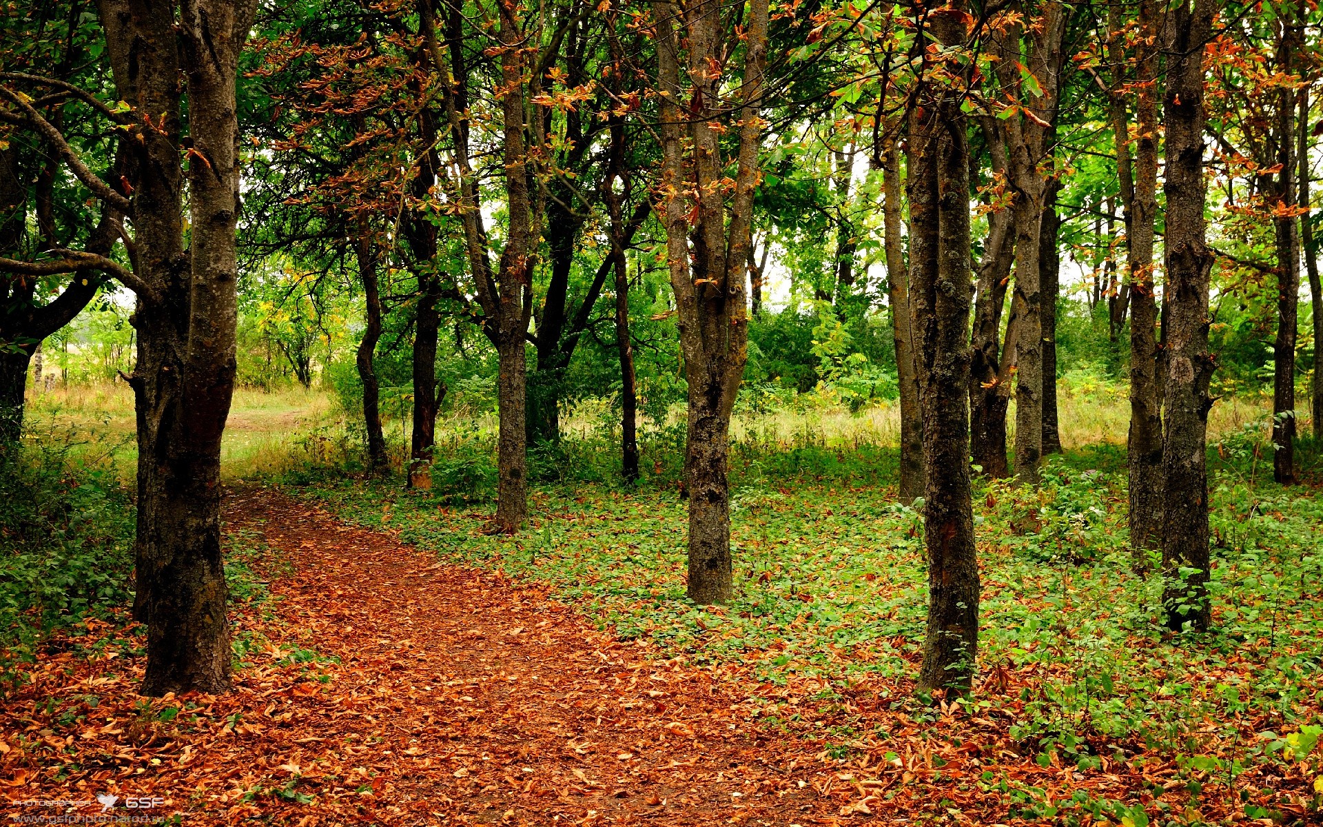 绝杀时刻，阿尔卡拉斯在拉沃尔杯的关键制胜与ATP总决赛的启示