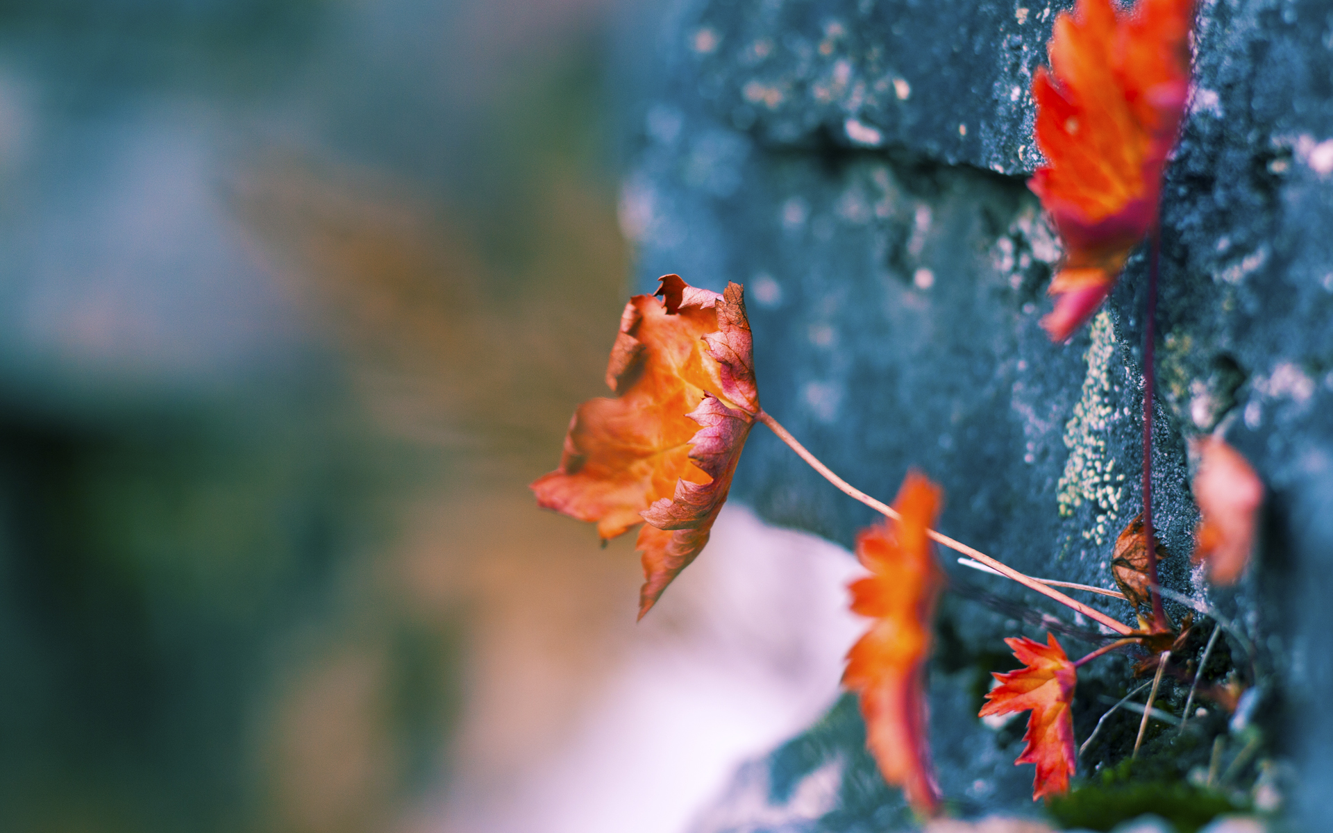 逆转的东方公式，当精密计算遇上无解天赋