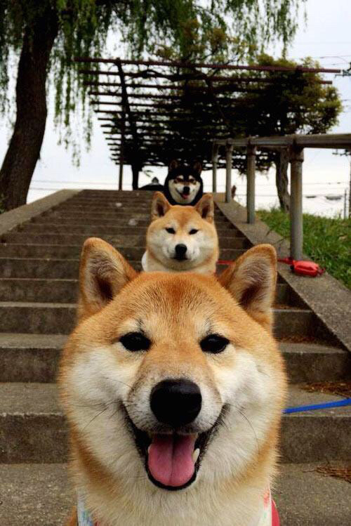 精密武器与幸运硬币,当哈斯终结钢铁侠的豪华游戏,勒克莱尔却刻下了新碑文