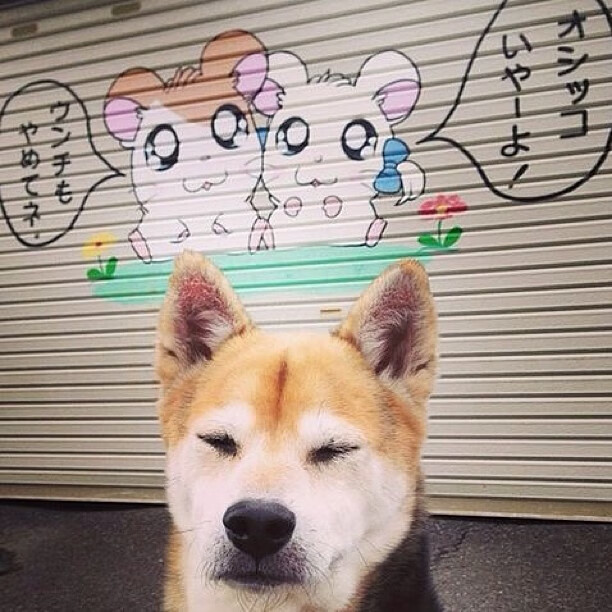 亚洲羽坛惊天逆转,当绝境成为熔炉,郑思维扛起整个马来西亚的荣耀