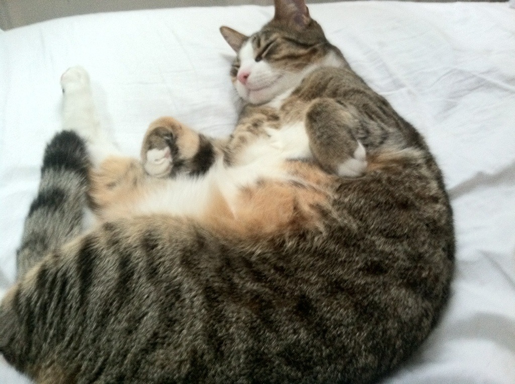 当掘金遇见山西,易建联的封神一战是如何写就的