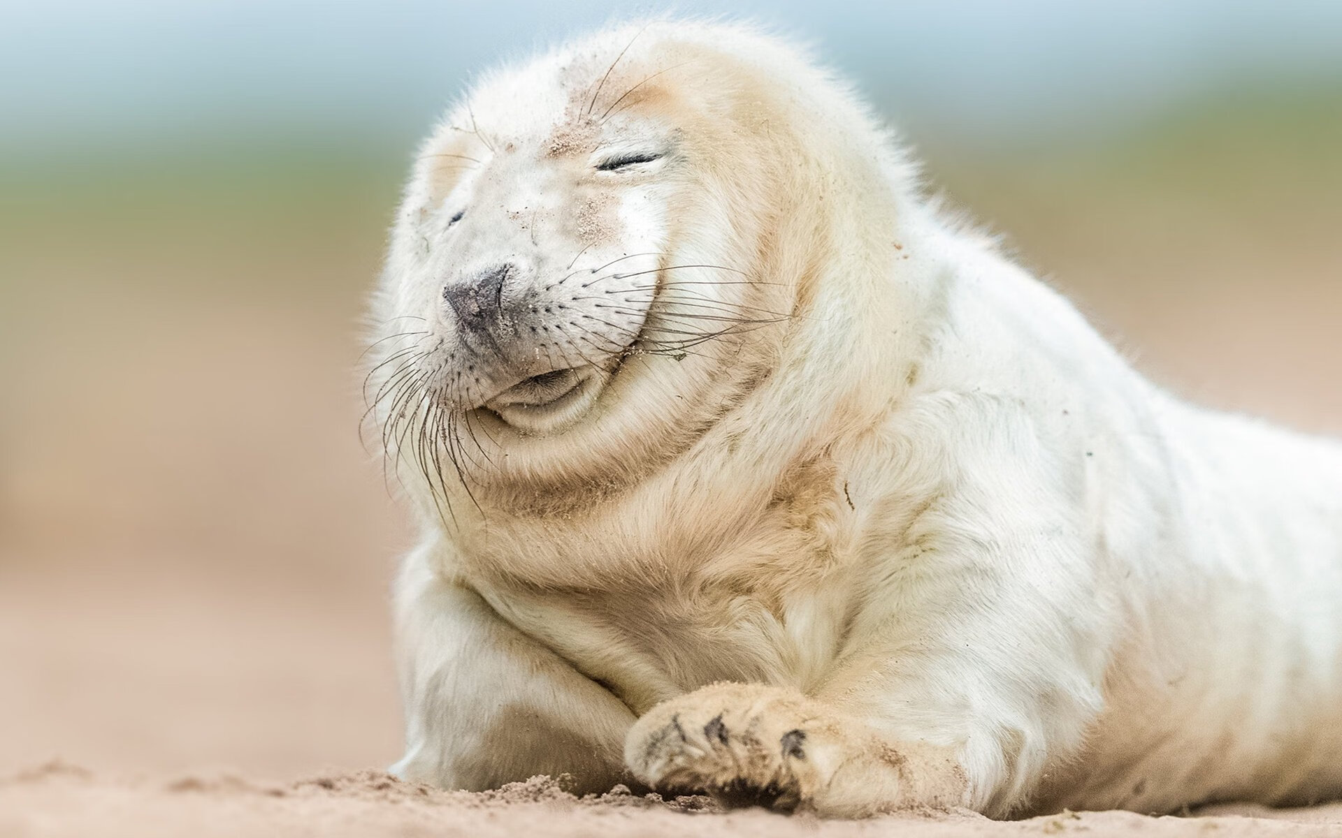 爵士战术密码与拉文表演时刻,当团队交响乐遇见个人奏鸣曲