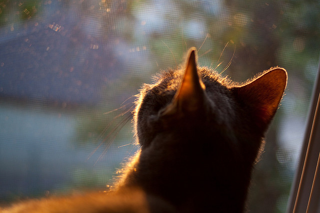 绝境的艺术,当格子军铸造奇迹,当阿圭罗点燃神性—论逆境中唯一的取胜公式