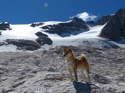 阿森纳关键战逆境突围秘鲁劲旅，哈兰德赛后评分满分引爆足坛话题