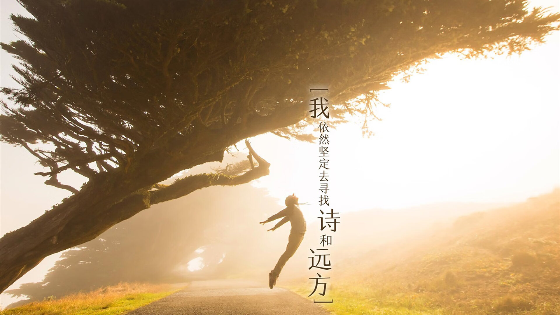 开云体育在线-跨界博弈，马刺的数据链条如何锁住凯尔特人，却为莫兰特开辟英雄之路？