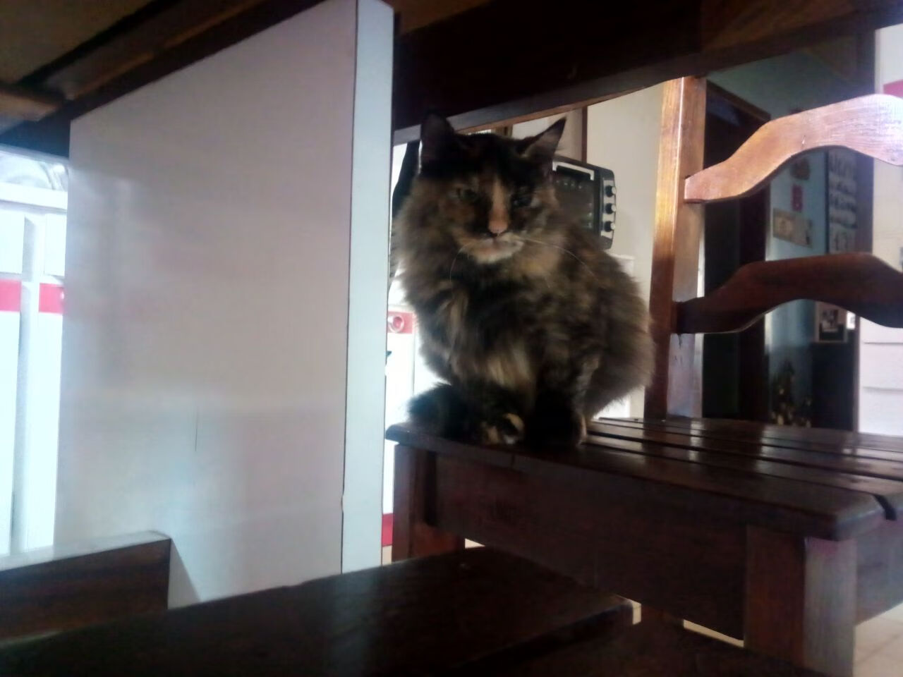 教科书与铁壁，当个体艺术遇上体系枷锁