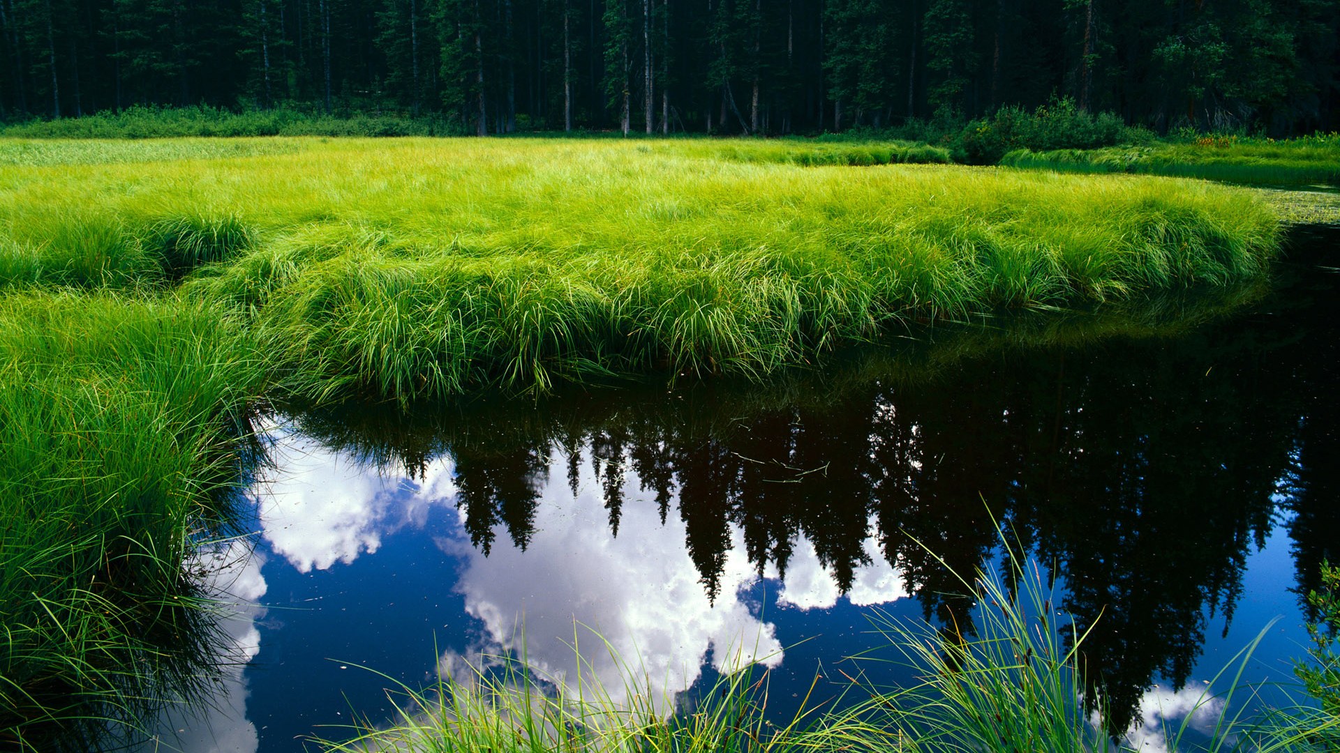 双重压迫日，快船狂风骤雨般连续得分吞噬独行侠，德罗赞冷血带队凿开胜利之门