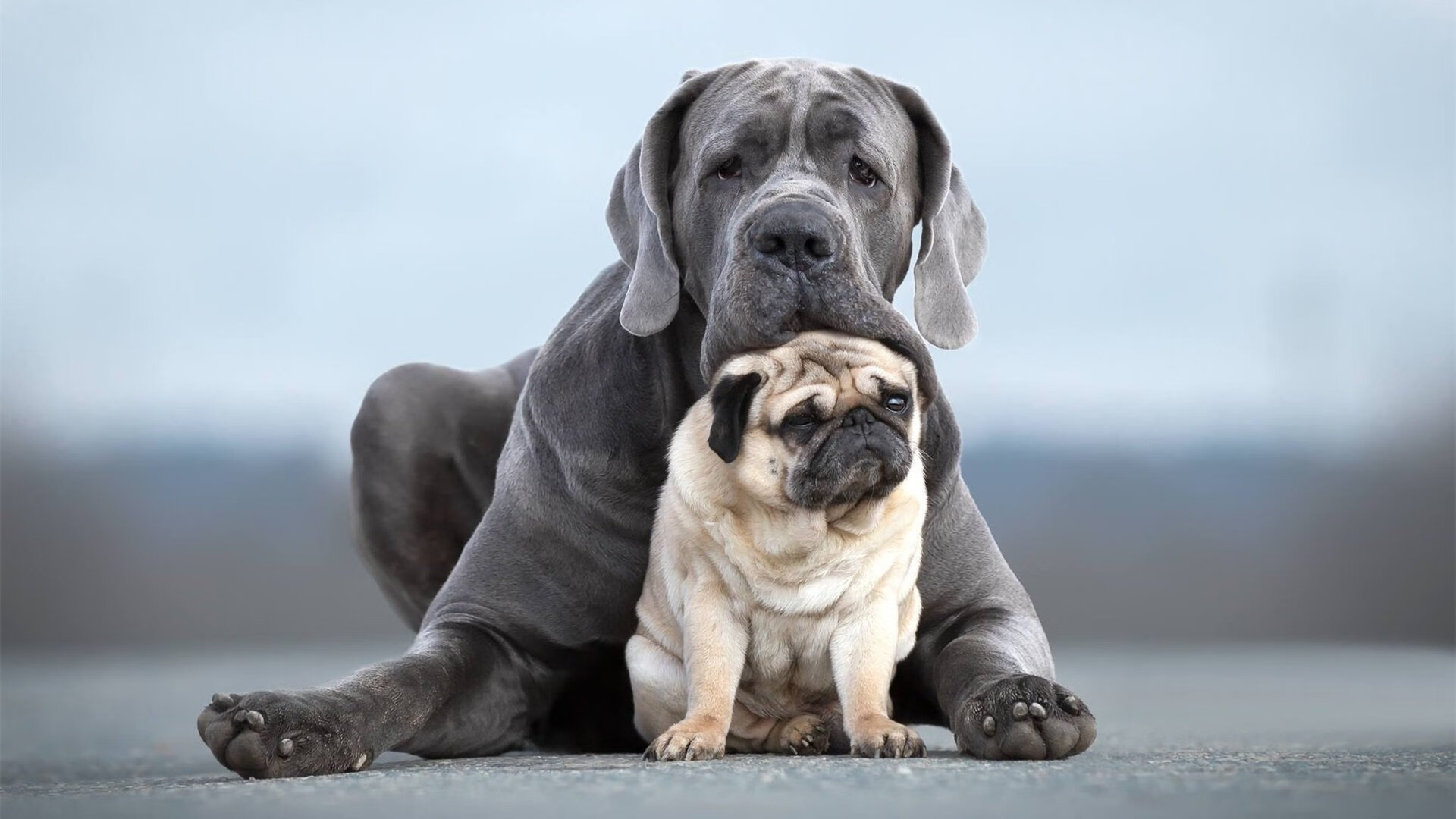 指挥家与乐章的终结,当米切尔的关键奏鸣曲熄灭迈阿密热火