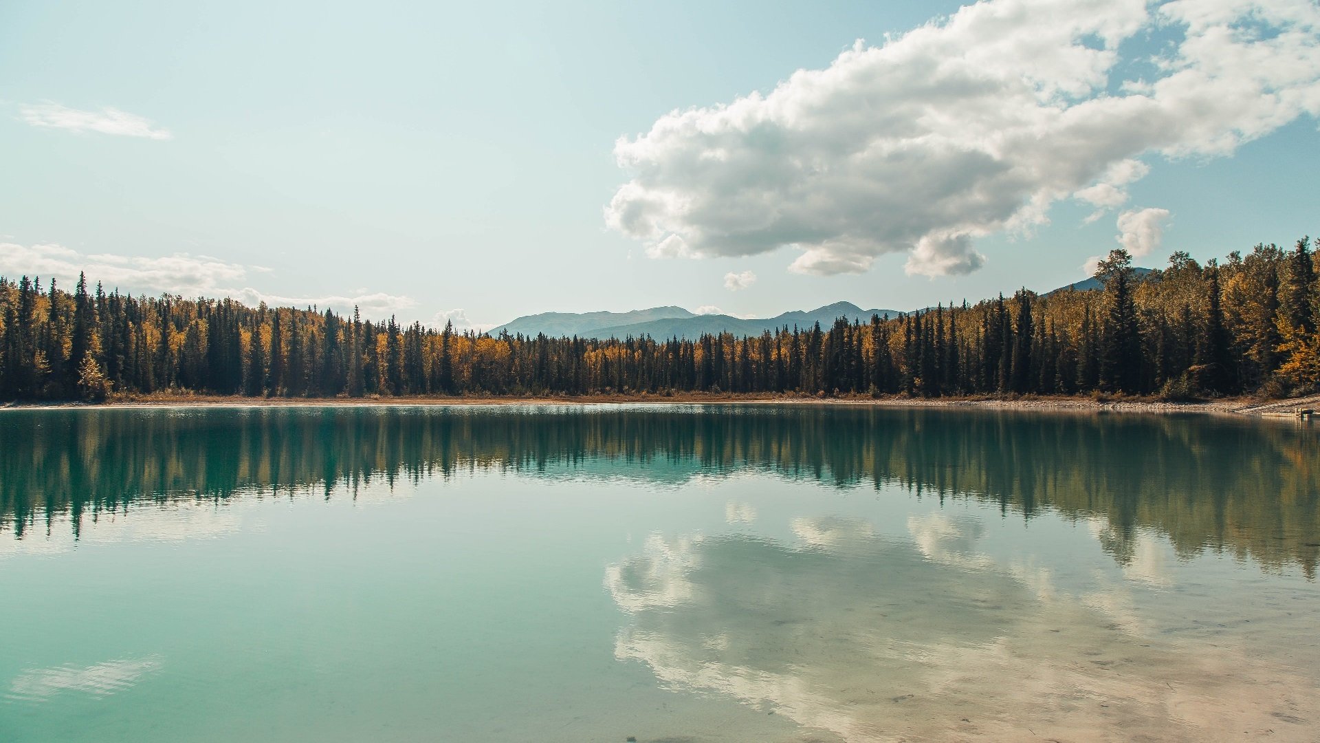 莫兰特借调黄蜂，绝杀夜，一个外人如何成为夏洛特的英雄