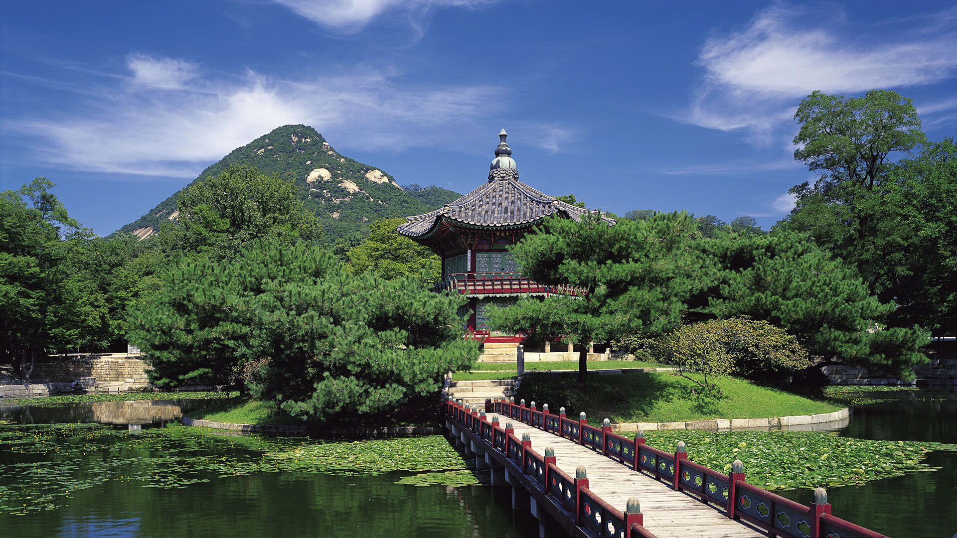 黑马奔腾,几内亚逆袭风暴,年度焦点之战重塑非洲足球版图