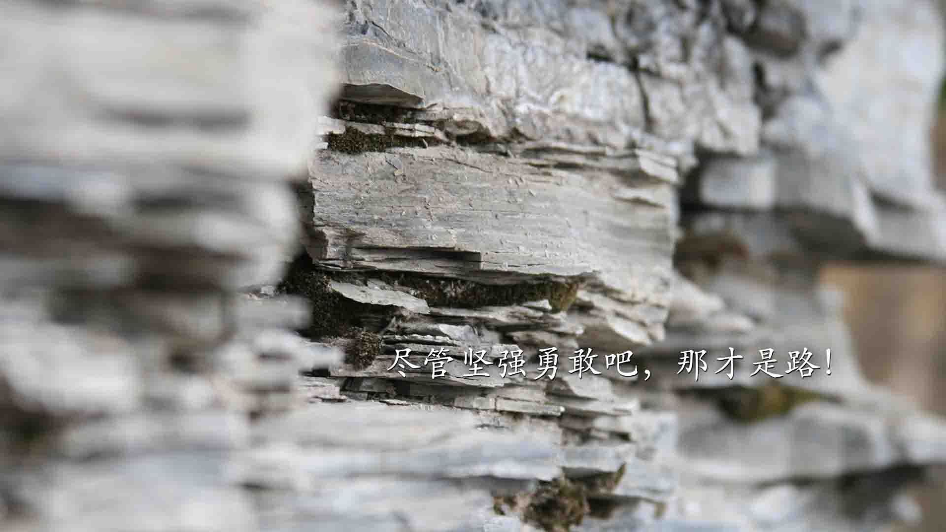 碾压之夜!辽宁队客场踏平浙江,武切维奇化身禁区征服者