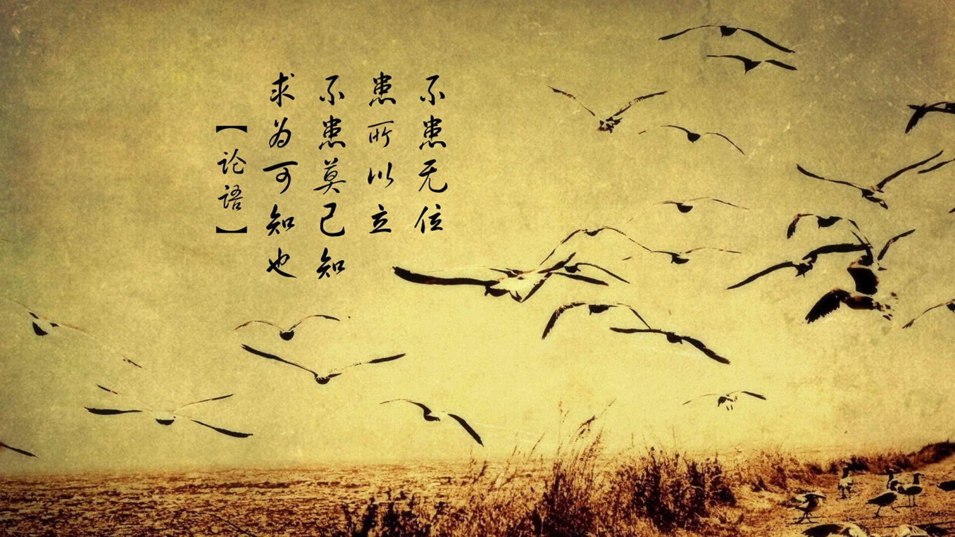 北欧风暴席卷2026,瑞典碾压克罗地亚,卢卡库独木难支成悲情英雄